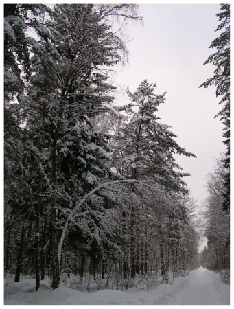 Волшебница зима