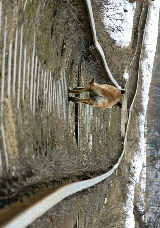 По дороге вникуда