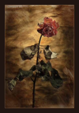 ...loneliness...