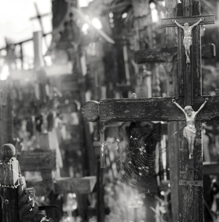 crosses