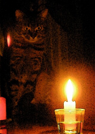 "Ночной дозор. Свет и тьма"