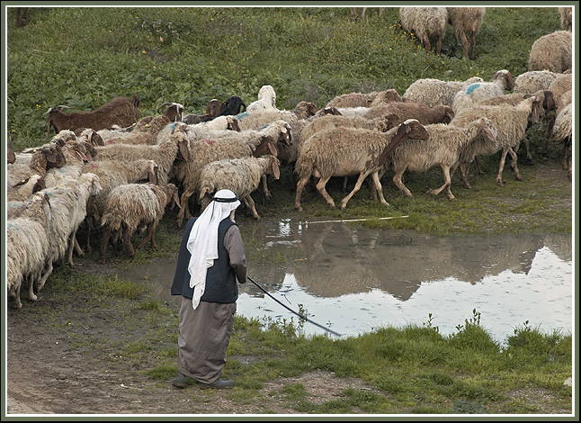 Пастырь