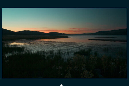 ушла утка...