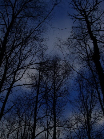 Всё выше и выше...