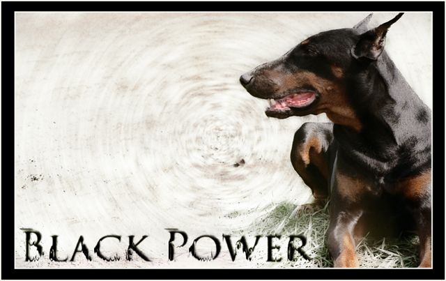 Black Power