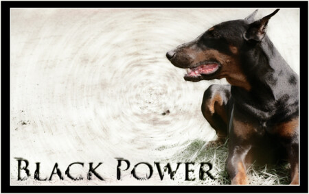 Black Power