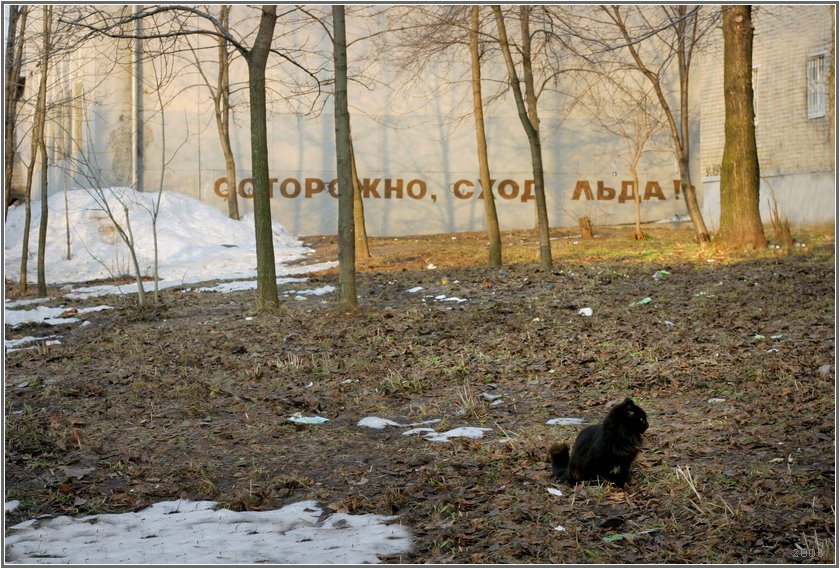 Сход льда 