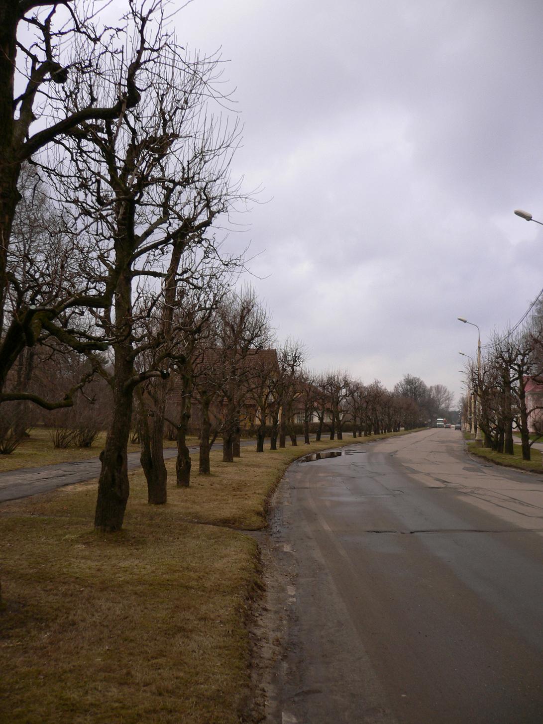 ...в город