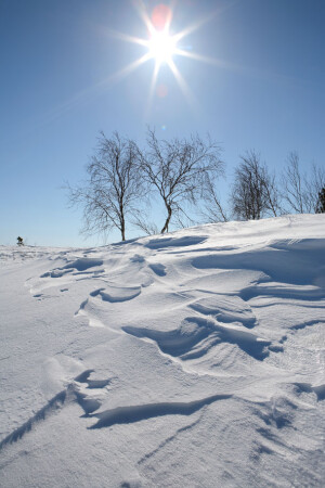 Навстречу к весне