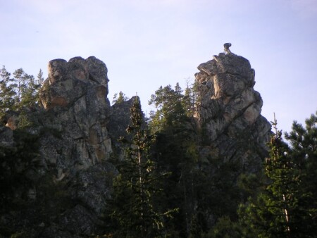 Птенец