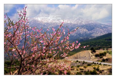 где-то весна