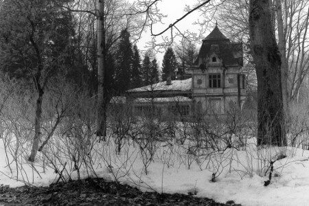 Остановив часы