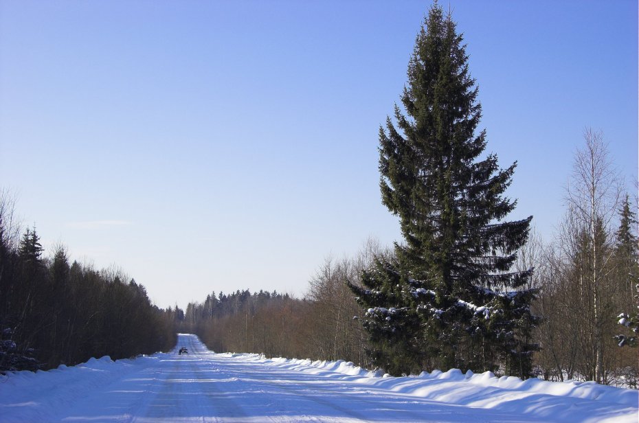 BIg Road