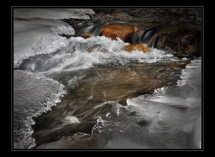Liquid
