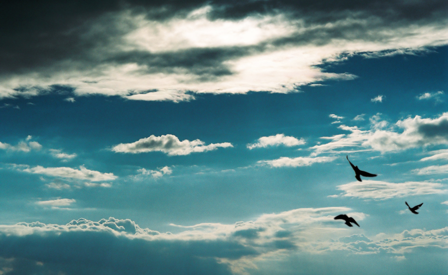 Knocking to the sky