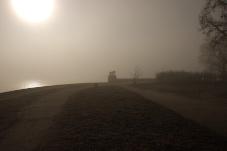 Львенок в тумане