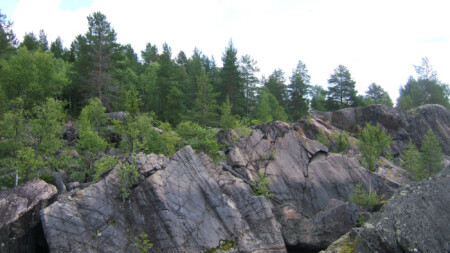 в Карелии