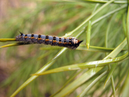 Неожиданная находка