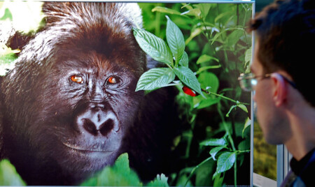 Глаза в глаза.