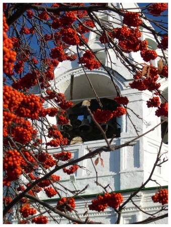 Красное на белом