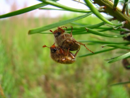 Весна в разгаре