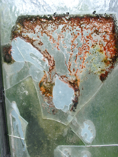 Nr.28