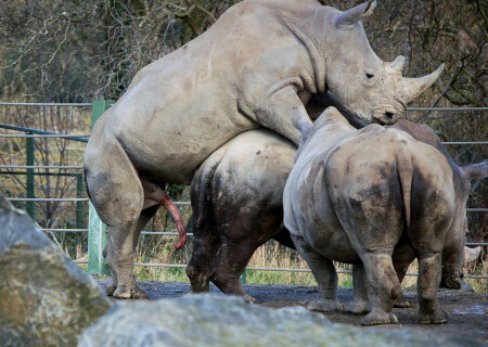 Зов природы