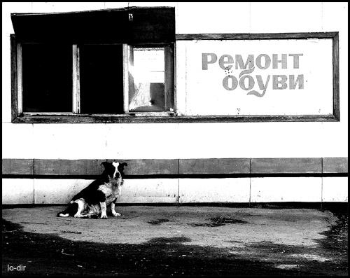 БИЧ