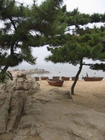 Желтое взморье