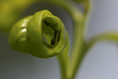 На пастбище