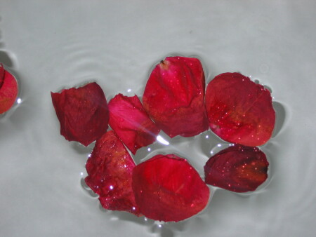 Круг на воде