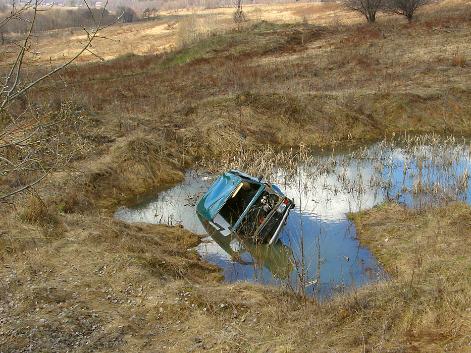 Жертва угона, или Такие вот подснежники!