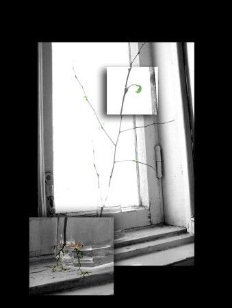 жажда жизни