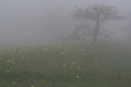 Туман в горах.