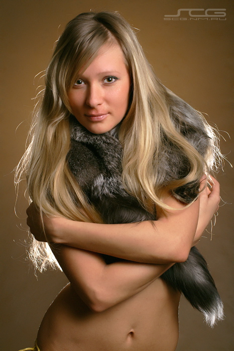 The Pelevin`s Fox...