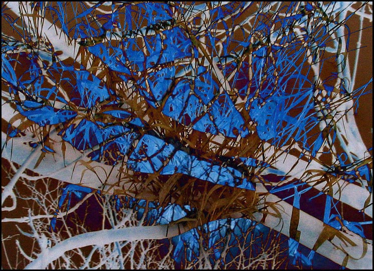 Digart 008