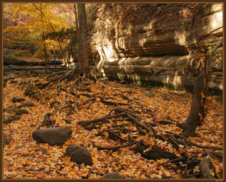 О прошлой осени