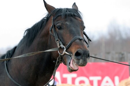 Состояние влюбленности