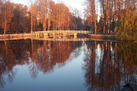 прям как в сказке