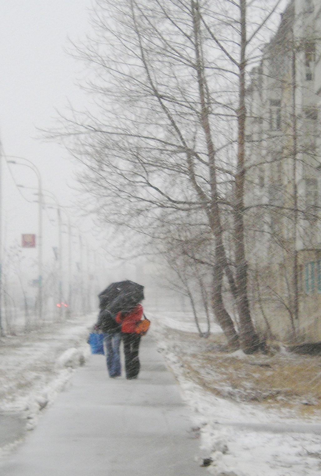 Непогода нынче в моде...