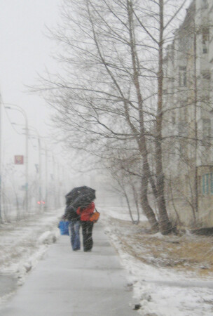 Непогода нынче в моде...