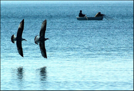 Мир для двоих