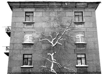 Вопреки