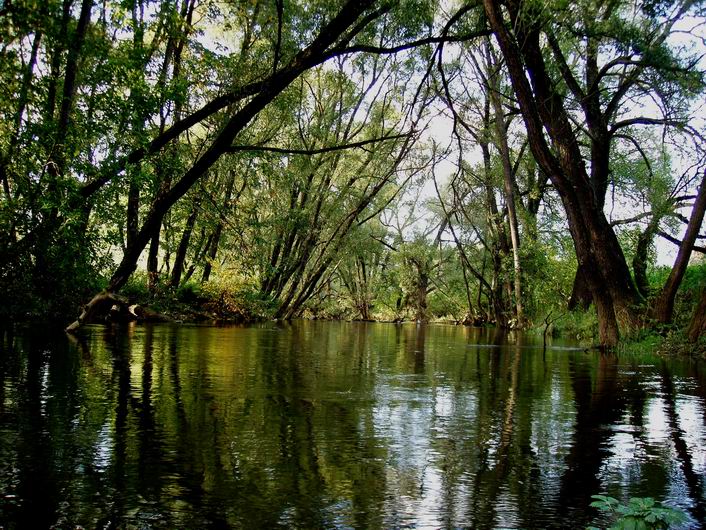  река