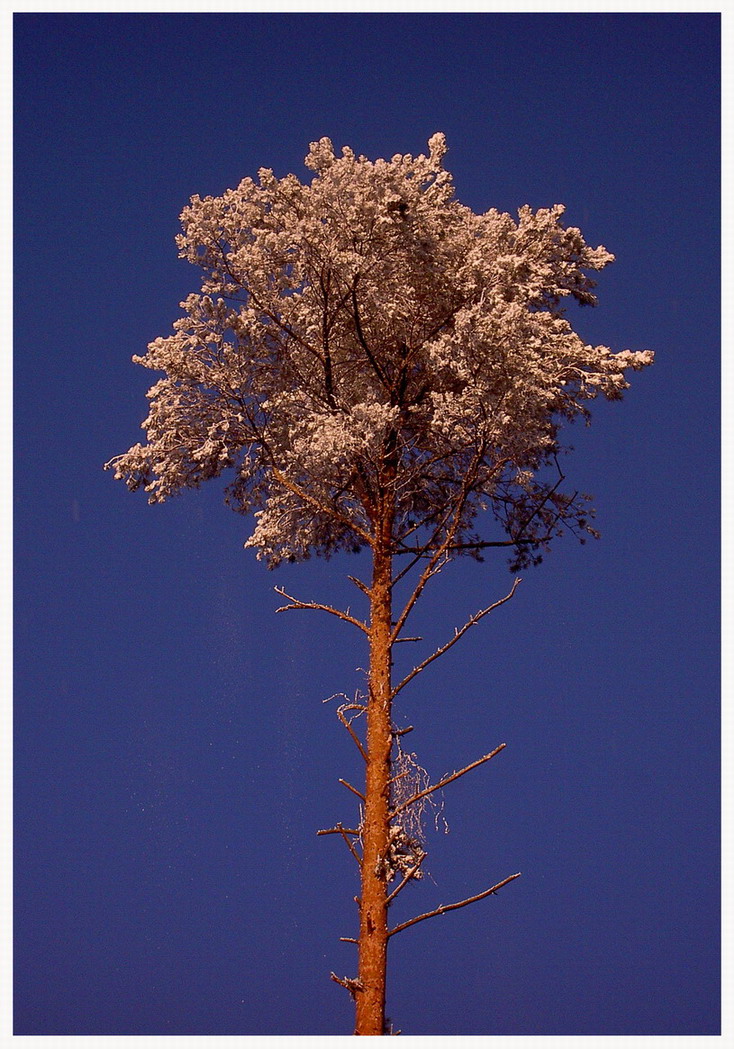 ... i`m not blue...