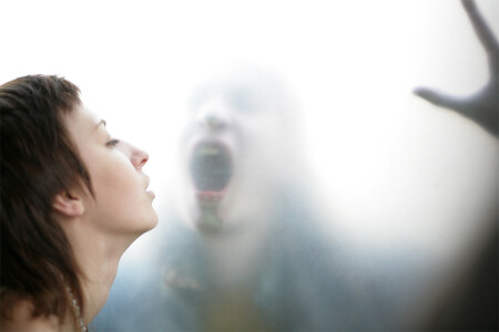 По следам дневного дозора 