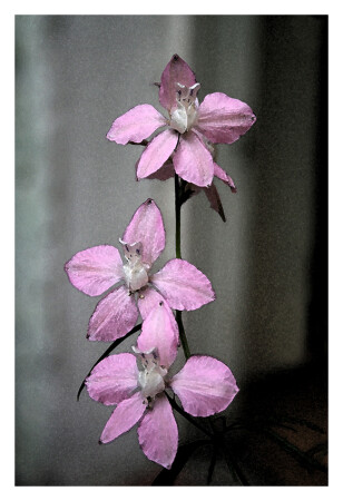 ...исполнение ...