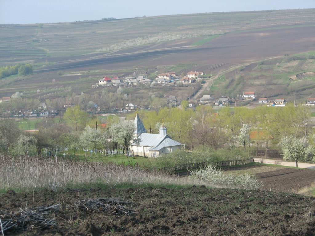 Сельские просторы 