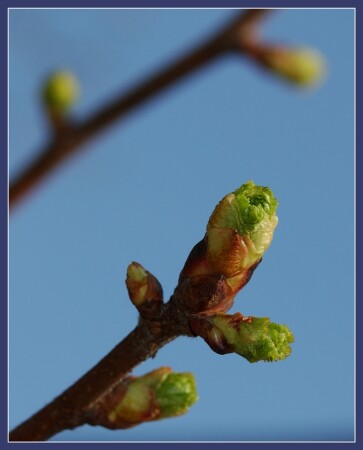 Жизнь после зимы