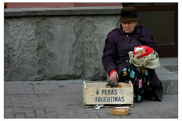 PERAS (Теплое место)
